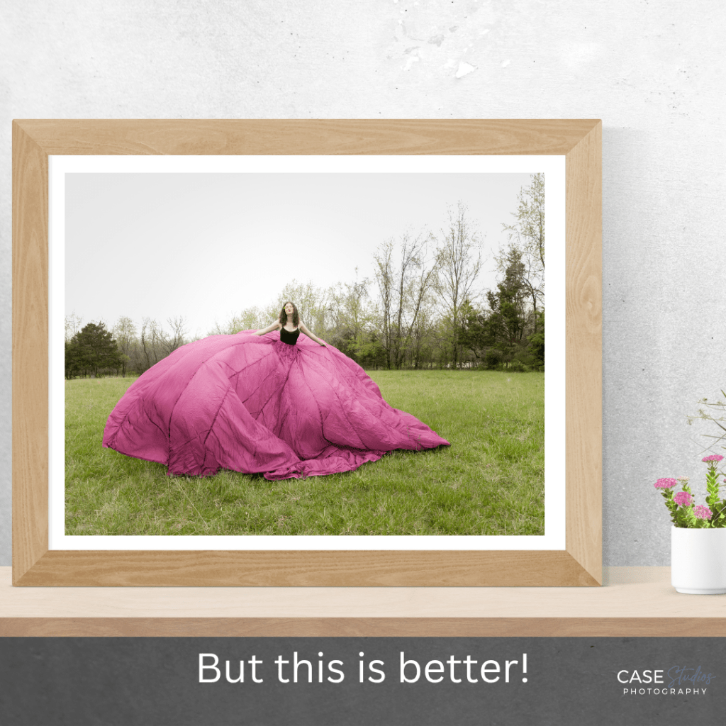 Framed photo of a woman in a billowing pink dress in a grassy field. Text reads "But this is better!" Case Studios Photography logo.